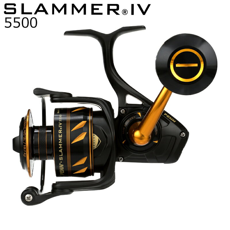 スラマー4 DX SLAIVDX5500 の画像