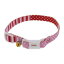 CAT COLLAR ボーダードットカラー(ピンク) ペティオ CATカラ-ボ-ダ-ドツトカラ-P