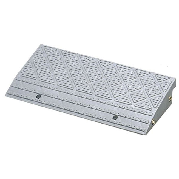 �����ꥹ������� �ʺ��ץ졼�� (���졼) NDP-600E