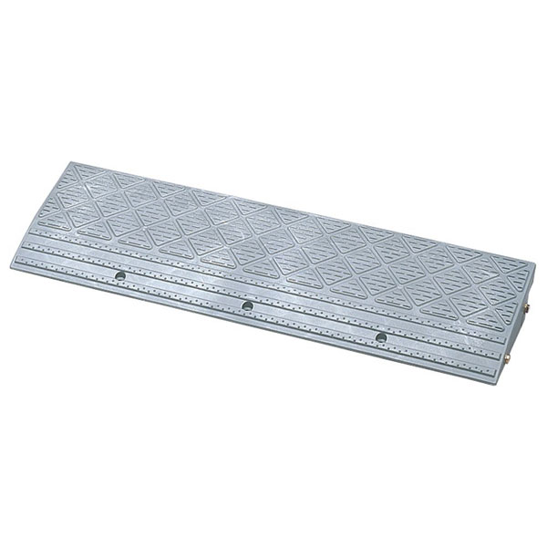 �����ꥹ������� �ʺ��ץ졼�� (���졼) NDP-900E