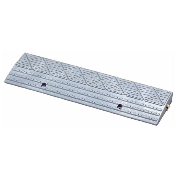 �����ꥹ������� �ߥ��ʺ��ץ졼�� (���졼) NDP-60AE