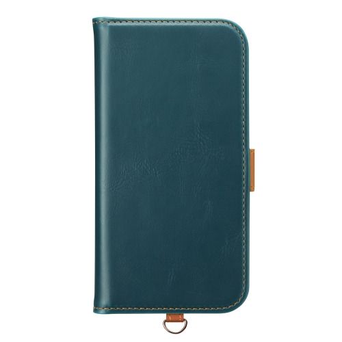 PGA iPhone 17 Pro�� �ե�åץ��С��ʥ֥롼�� PG-25BFP01BL