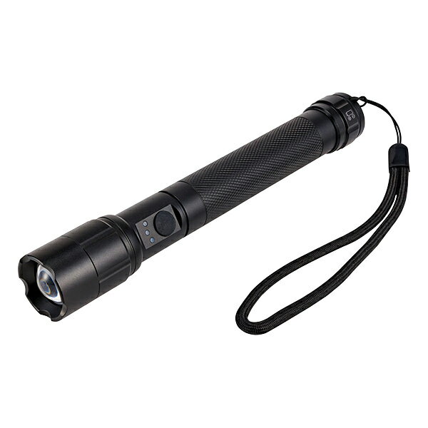 ELPA LED懐中電灯 350ルーメン DOP-EP530 [DOPEP530]