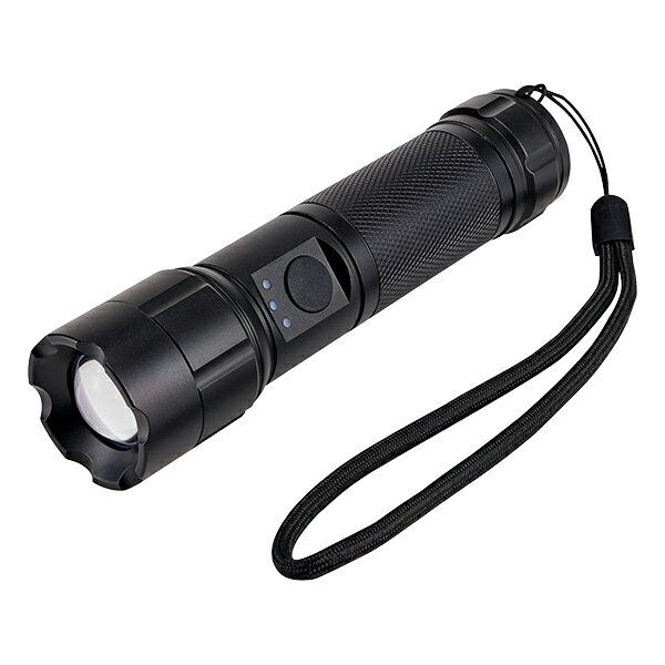 ELPA LED懐中電灯 450ルーメン DOP-EP540 [DOPEP540]