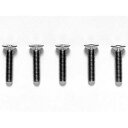 タミヤ OP.537 3x14mm チタン六角皿ビス (5本)【53537】