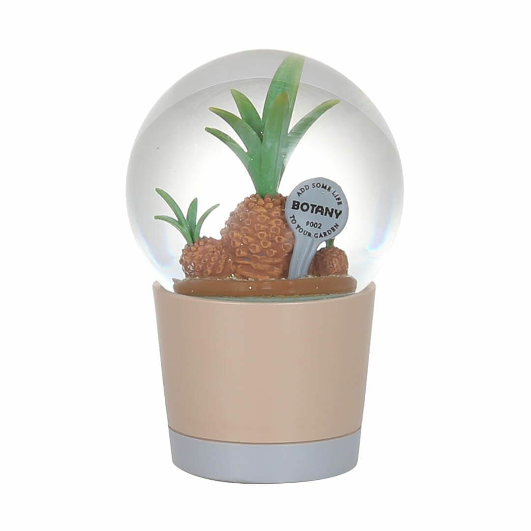 ダルトン(DULTON) プランツ ウォーターグローブ(ブプレウリフォリア) NB-0676/002 [45093408]