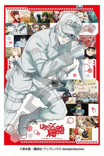 エンスカイ TVアニメ『はたらく細胞』 ジグソーパズル 「今日も活躍中！」 300ピース【300-3192】 ジグソーパズル
