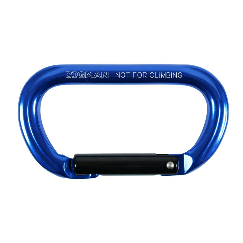 イトー 強力CARABINER 60×110×12mm オフセットD型 ブルー #059615