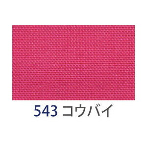 アサヒ バイアステープ テトロンバイアス 両折 12mm幅 コウバイ FTB12-543-20