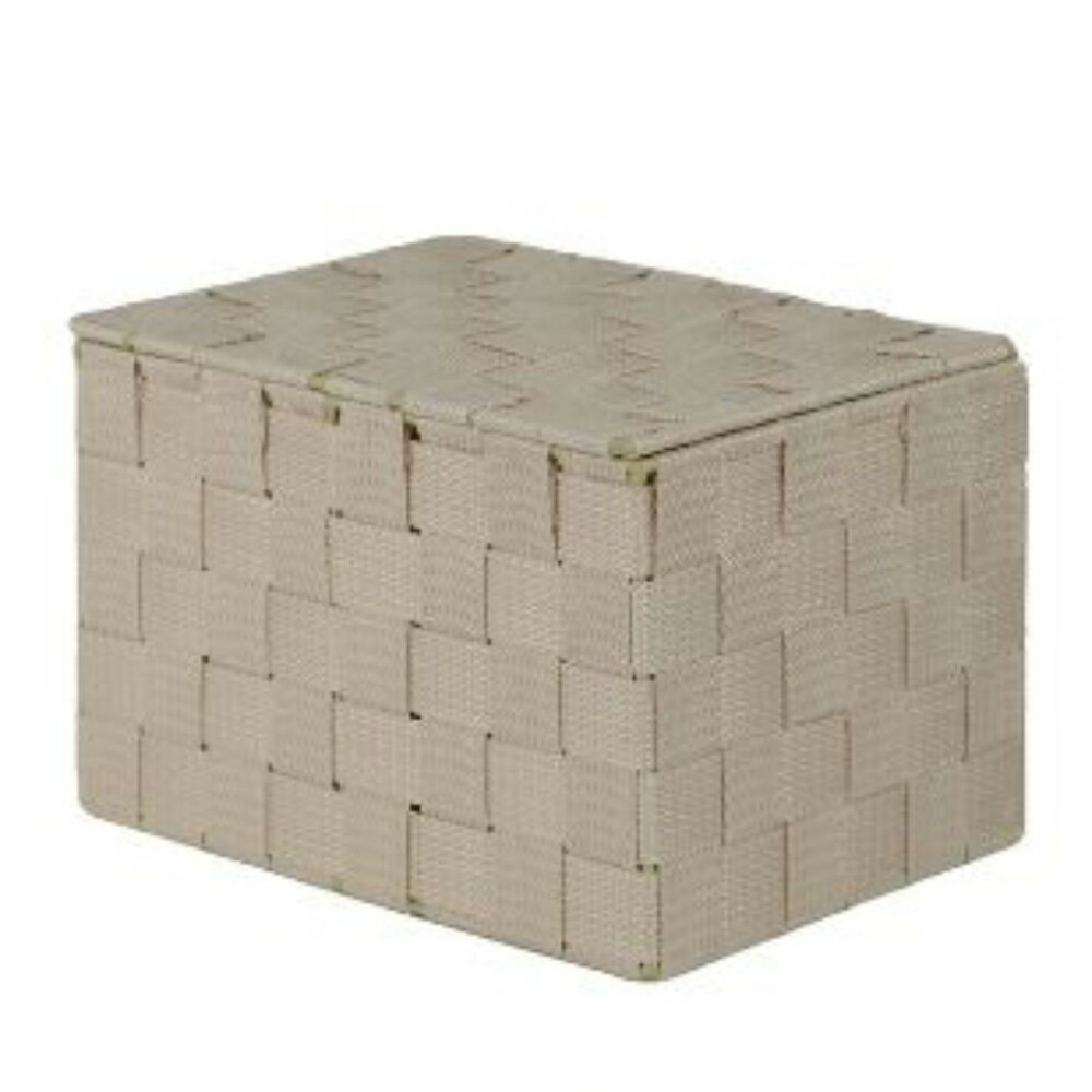 Laundry Storage - 株式会社ちどり産業 収納ボックス 小 浅型 ふた付き 幅23×奥行16×高さ14.5cm（ベージュ） 58-81BG 収納ケース [5881BG]