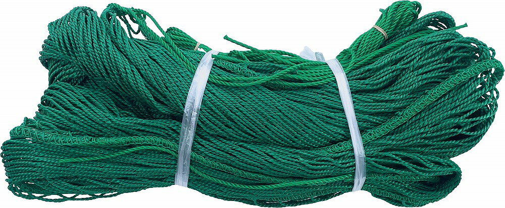 カネヤ 取替用極太シングルネット 2.5m×3m KNY-KB2505N