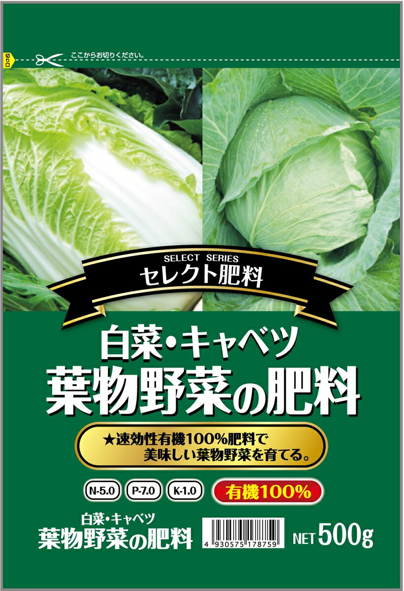 【返品種別B】□「返品種別」について詳しくはこちら□◆速効性有機100％肥料で美味しい葉物野菜を育てる！　◆有機100％の肥料なので安心・安全に使用でき、アミノ酸も含んでいるので食味や色つやの良い葉物野菜を育てます。■　仕　様　■製品サイズ(約)：高さ220×幅150mm容量：500g資材の種類：有機質肥料肥料区分：普通肥料肥料成分：窒素5％、りん酸7％、加里1％窒素主形態：有機態原料：酒かす登録/届出機関：農林水産省関連法規：肥料取締法有機JAS法対応(日本農林規格)：可(有機JAS法の使用資材に該当します)肥効：遅効性(醗酵済み部分は速効性)有機率(配合比)：100％粒度：2mm-5mm粒形：球状施肥用途：元肥、追肥対応植物：葉菜類施肥量例(1m2当り)・・・白菜：400g(元肥)、200g(追肥)キャベツ：450g(元肥)、100g(追肥)その他：300g-350g(元肥)、追肥なし包装：ラミネート袋[7205006セントラルグリン]セントラルグリーンアウトドア＞ガーデン・エクステリア用品＞土・肥料