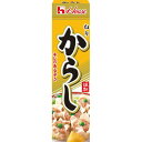 ねりからし 43g ハウス食品 ネリカラシ43GN