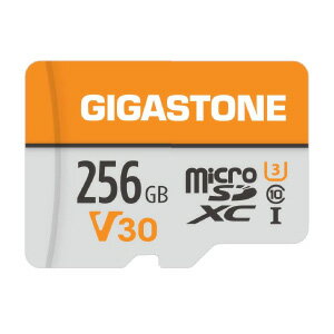Gigastone｜ギガストーン microSDXCカード 256GB Class10 UHS-I U3 V30 (ジッパーパック包装) GJMXR-OG256GV30(2.0)