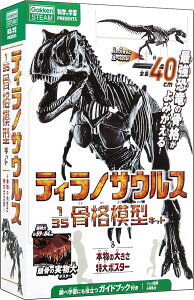 学研ステイフル 科学と学習PRESENTS ティラノサウルス骨格模型&ポスター 工作キット