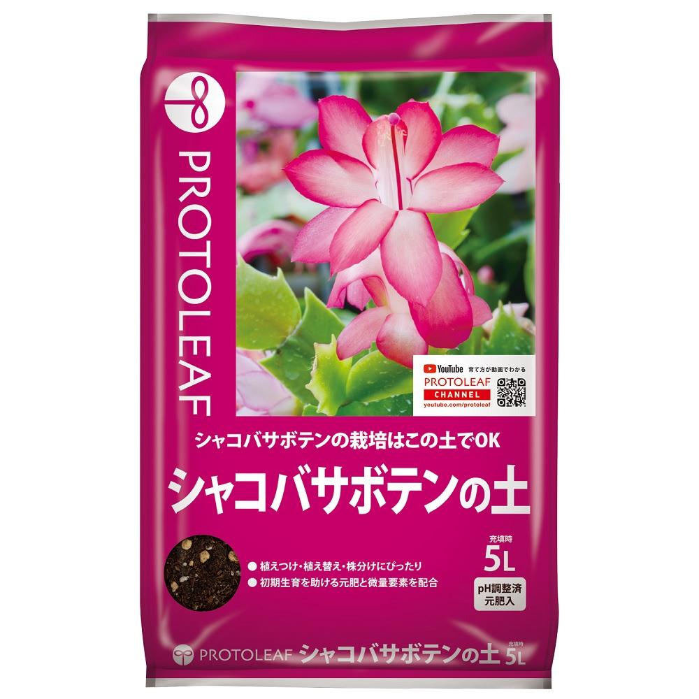 楽天市場】シャコバサボテン 苗の通販