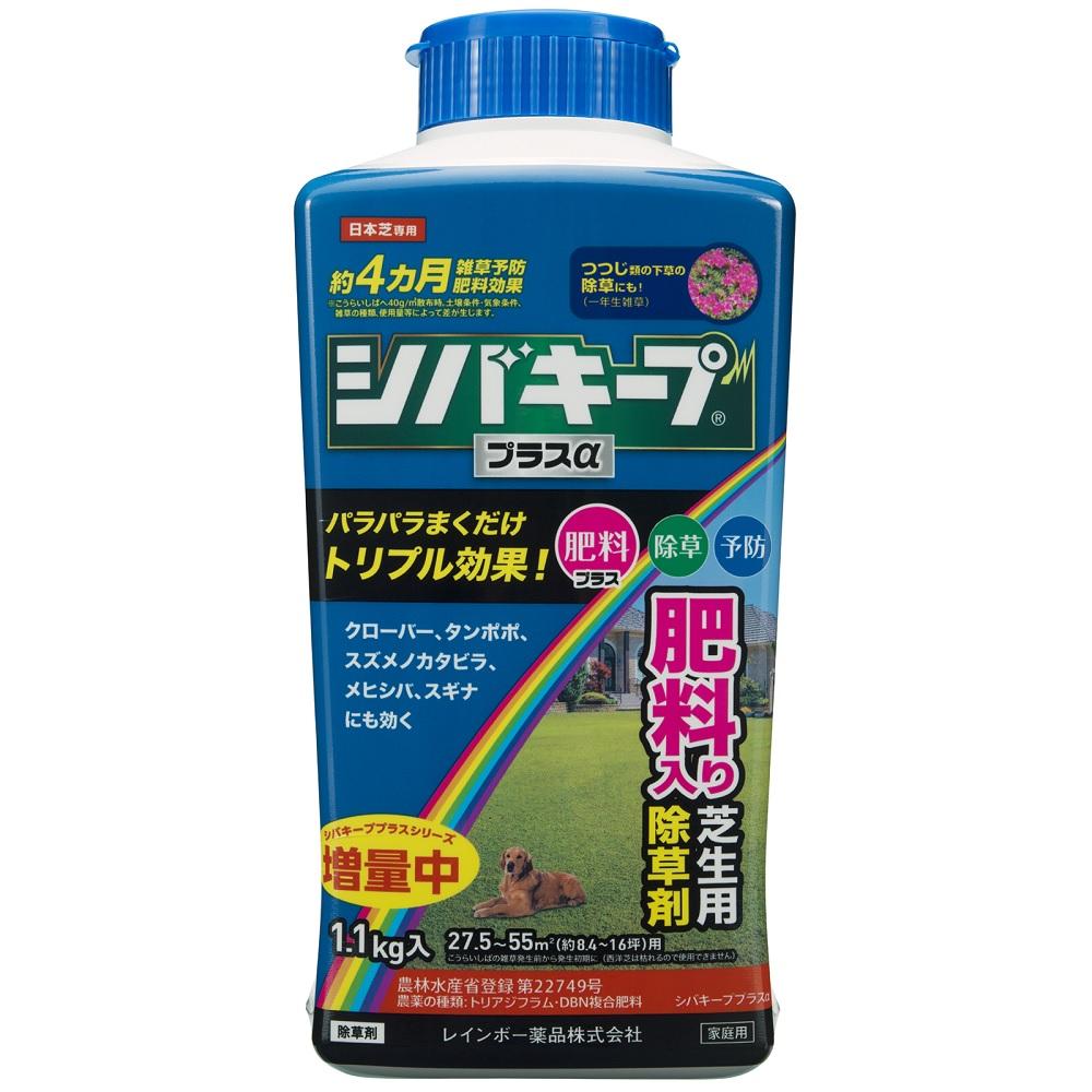 【返品種別A】□「返品種別」について詳しくはこちら□※仕様及び外観は改良のため予告なく変更される場合がありますので、最新情報はメーカーページ等にてご確認ください。◆雑草の発生前から発生初期にまくことで、芝生の中に生える幅広い草種に効果を発揮◆除草効果は最長4カ月持続（土壌条件、気象条件、使用量等によって差が生じます）◆肥料成分入りなので、除草と肥料やりを一度でできる◆つつじ類の下草や周辺への使用が可能！■登録番号：第22749号■農薬の種類：トリアジフラム・DBN複合肥料農薬の名称：シバキーププラスα■性状：淡褐色粒状（径1　〜3　）■成分：トリアジフラム・・・0.10％DBN・・・0.50％肥料等・・・99.4％■原産国：日本レインボー薬品広告文責：上新電機株式会社(06-6633-1111)日用雑貨＞園芸用品＞除草剤