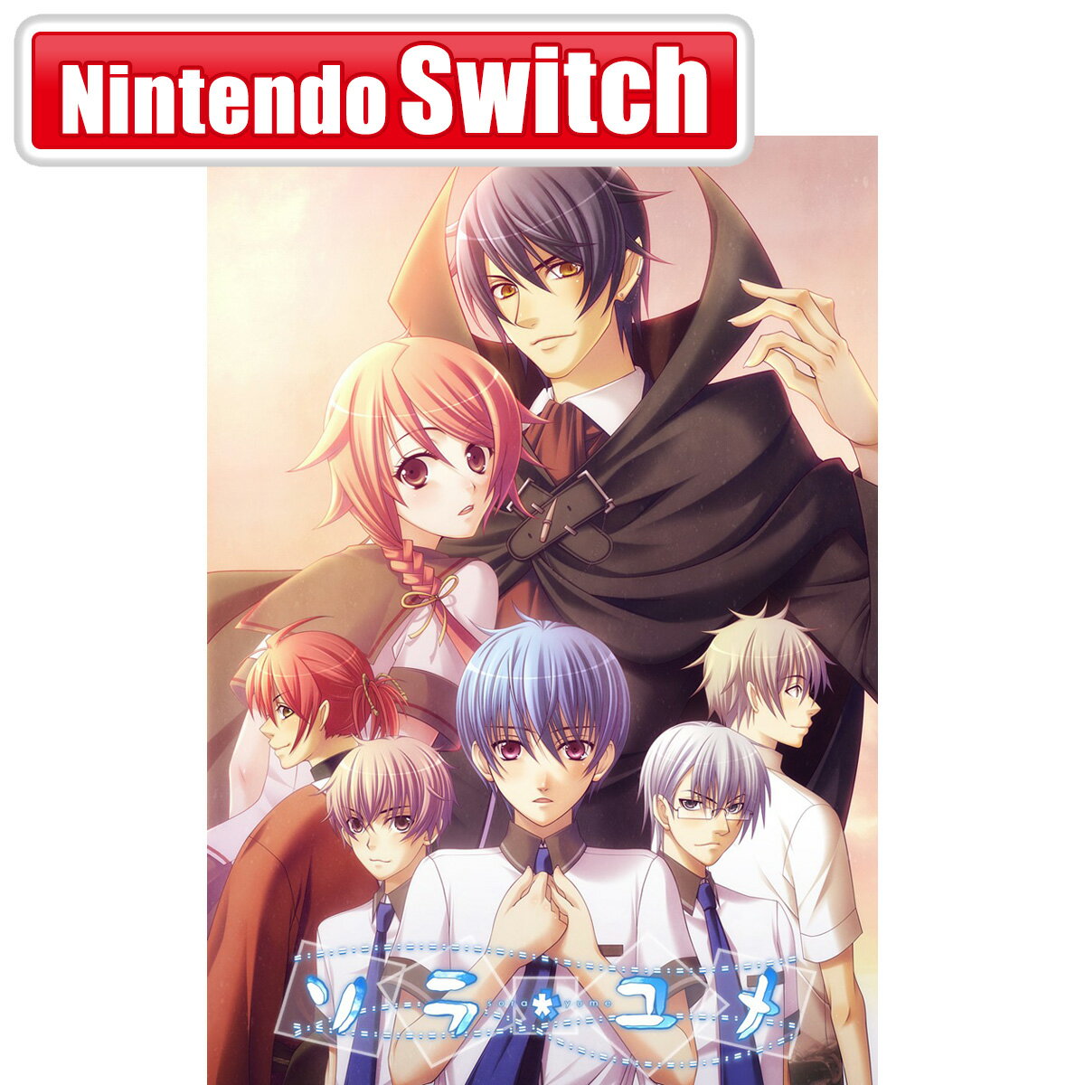 TAKUYO 【Switch】ソラユメ [HAC-P-BU3FA NSW ソラユメ]