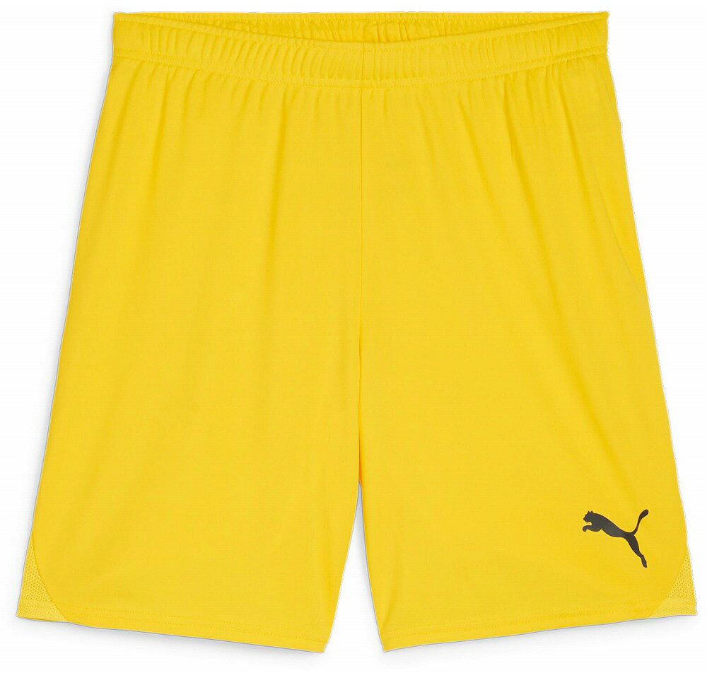 プーマ メンズ teamGOAL ゲームパンツ（ファスター イエロー・サイズ：XL） PJ-706377-07-XL