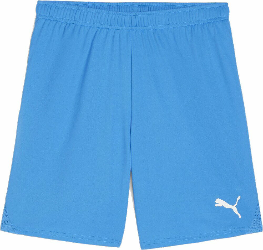 プーマ メンズ teamGOAL ゲームパンツ（イグナイトブルー・サイズ：M） PJ-706377-02-M