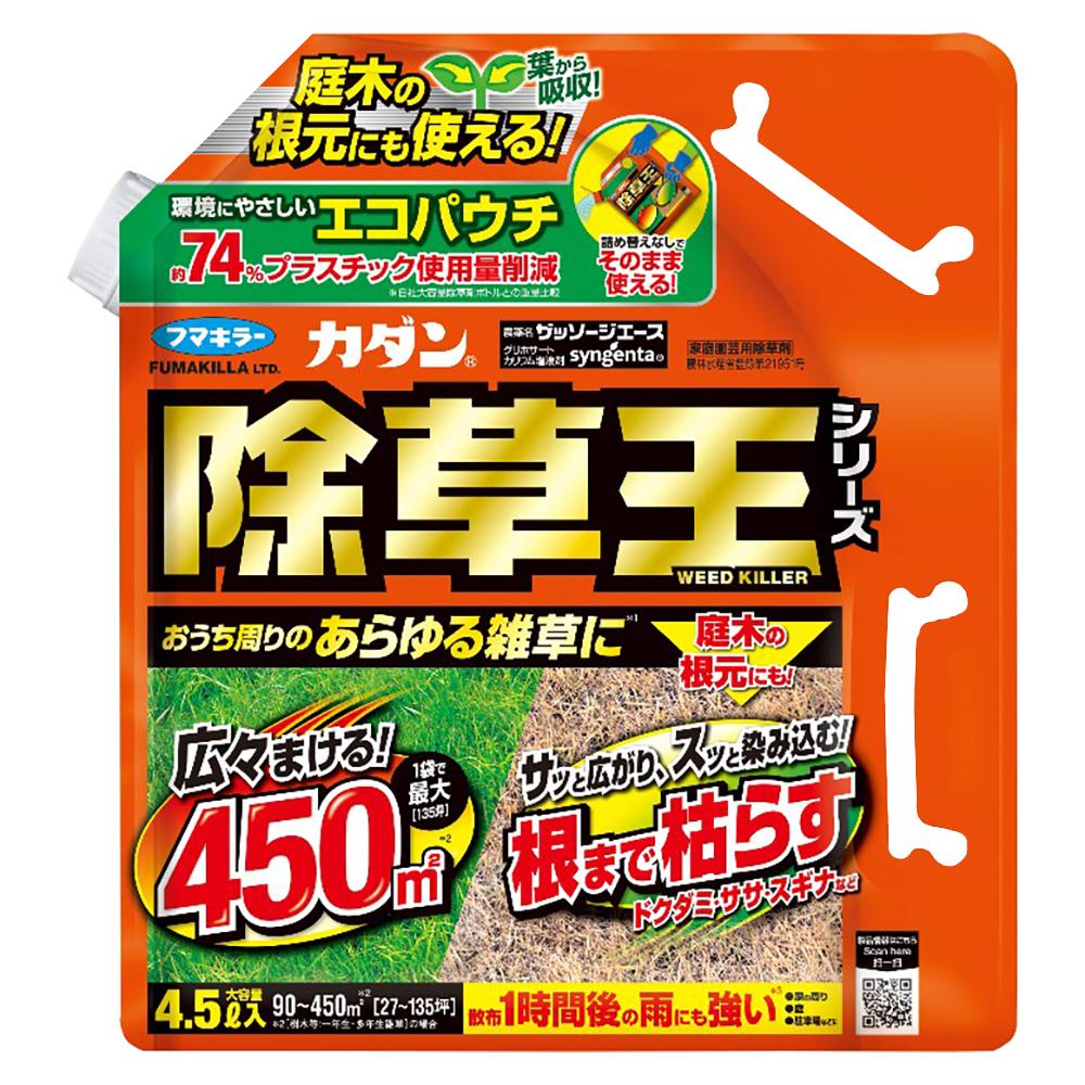 カダンＡＰの画像