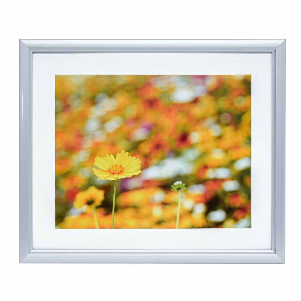 フジカラー アルミ額縁 A32 6切（シルバー）（前面板-PET） A32-6-SV FUJICOLOR