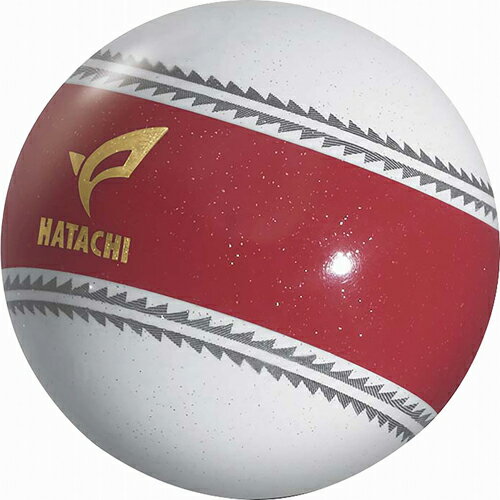 ハタチ PGナビゲーション（レッド） HAC-PH3720-62