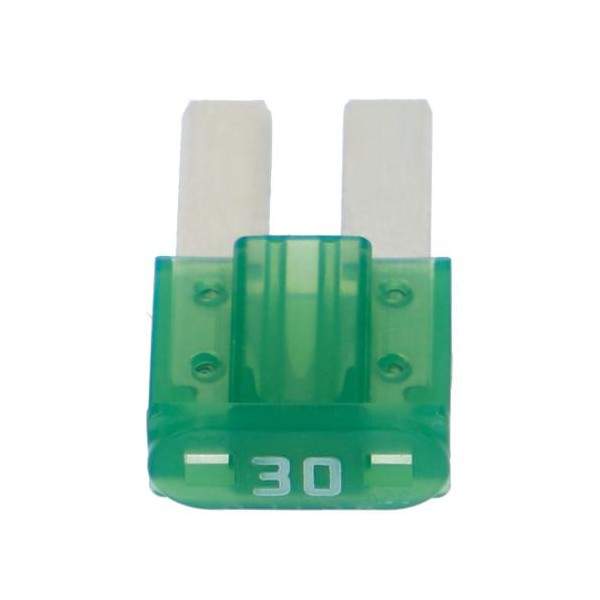 エーモン工業 マイクロ2ヒューズ　30A　10個入 7607 amon