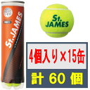 セントジェームス 60球 STJAMESJ4CS60 ダンロップ 【4球入りボトル×15缶セット】硬式テニスボール St.JAMES(セント ジェームス)