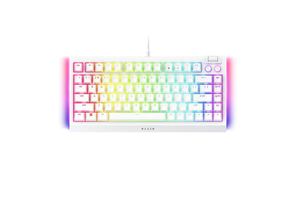 Razer ゲーミングキーボード BlackWidow V4 75％ （メカニカル 英語配列 ホワイト) RZ03-05001700-R3M1