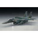 ハセガワ 【再生産】1/72 F-15E ストライクイーグル【E10】 プラモデル その1