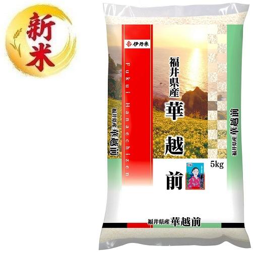 楽天市場】華越前（米・雑穀｜食品）の通販
