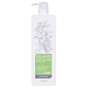 ナプラ リラベール CMCシャンプー(1000ml) リラベール リラベ-ルCMC SP1000ML
