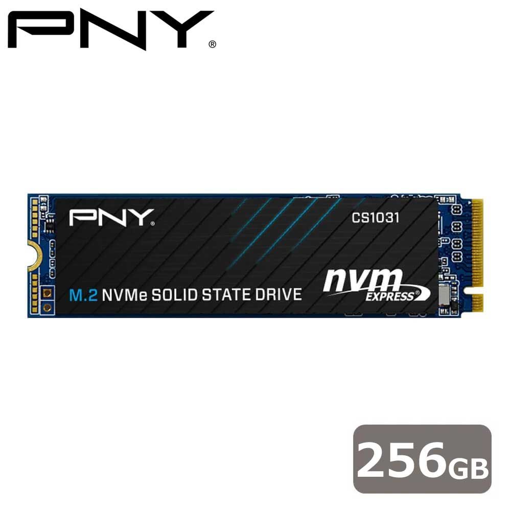 PNY CS1031 内蔵SSDM.22280NVMe256G M280CS1031-256-CL