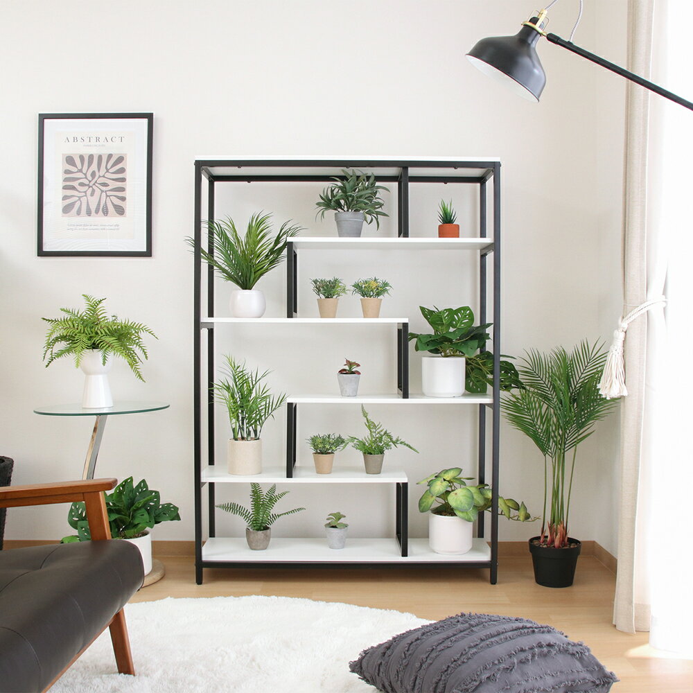 63760(フジボウエキ) 不二貿易 ディスプレイシェルフ (ブラック) [63760フジボウエキ]