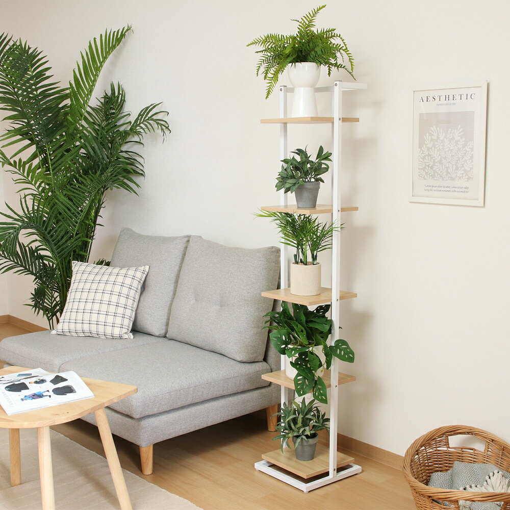 �����ǰ� �ǥ����ץ쥤������� ����� (�ۥ磻��) 63766(�ե��ܥ�����) [63766�ե��ܥ�����]