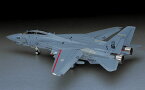 ハセガワ 【再生産】1/48 F-14D トムキャット「CVW-14」【PT12】 プラモデル