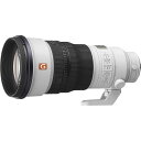 SEL300F28GM ソニー FE 300mm F2.8 GM OSS ※Eマウント用レンズ(フルサイズミラーレス対応)