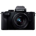 DC-G100DK-K パナソニック ミラーレス一眼カメラ「LUMIX G100D」標準ズームレンズキット Panasonic Kキット