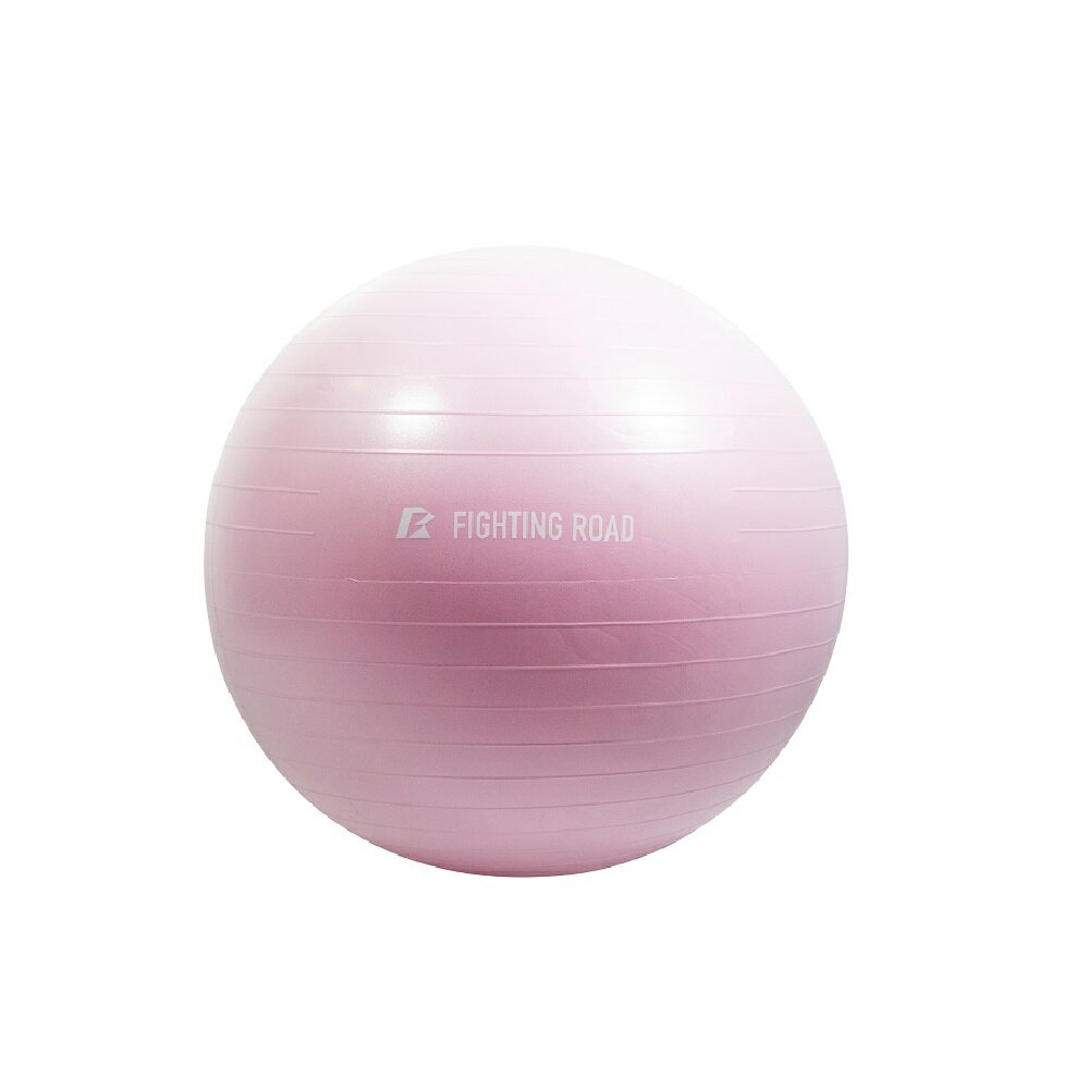 FR23CMS0049PNK ファイティングロード バランスボール65cm（ピンク） [FR23CMS0049PNK]