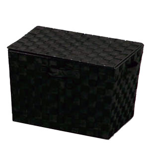 CBK-38DT BK アイリスオーヤマ カラーバスケット　フタ付 （ブラック） IRIS [CBK38DTBK]