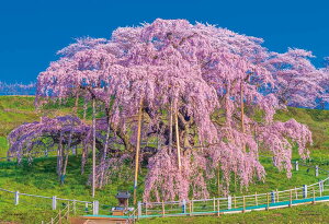 やのまん 日本の風景 爛漫と咲く三春瀧櫻(福島) 300ピース ジグソーパズル