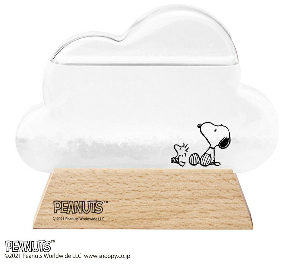 【返品種別A】□「返品種別」について詳しくはこちら□※気象状況と液体内部の結晶化の関連性については、科学的には解明できておりません。正確な気象状況を予測するためにはお使いいただけませんが、周りの気象環境の変化によって液体と結晶がユニークに変...