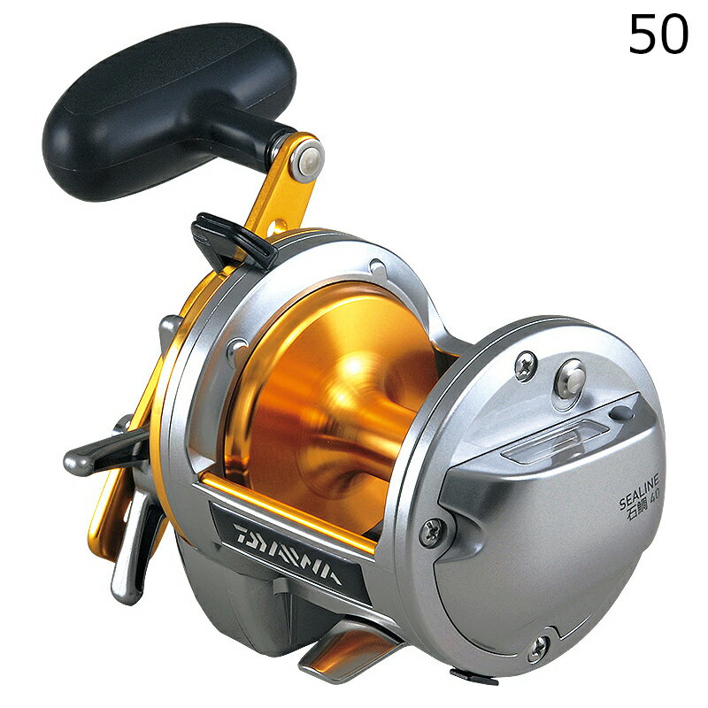 Other - ダイワ 12 シーライン石鯛 50 12シーラインイシダイ50 DAIWA 両軸リール