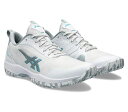 2E相当 1043A021-100-27.0 アシックス ユニセックス テニスシューズ PRESTIGELYTE 5 OC(White/Pure Silver・サイズ：27.0cm) asics オムニ・クレーコート用