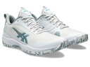 3E相当 1043A022-100-25.5 アシックス ユニセックス テニスシューズ PRESTIGELYTE 5 OC WIDE(White/Pure Silver・サイズ：25.5cm) asics オムニ・クレーコート用