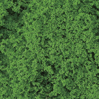 ［鉄道模型］津川洋行 TK-11 木の素キット グリーン(葉っぱの素 グリーン＋プラスチック樹木5本入)