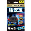 ケアガード 腰安定 Lサイズ 新生 ケアガ-ドコシアンテイL
