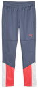 PJ-658874-53-150 プーマ INDIVIDUALCUP トレーニングパンツ ジュニア(PUMA White-Inky Blue・サイズ:150cm...