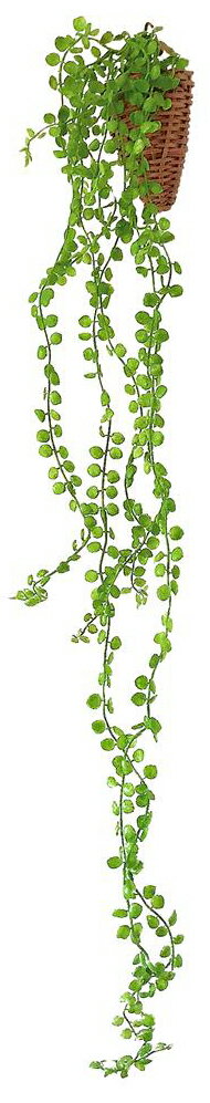 BACKYARD FAMILY(バックヤードファミリー) 光触媒 インテリアグリーン 壁掛け（164227.ビーンバイン） ..